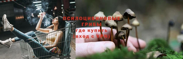 первитин Верея