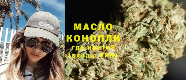крисы Верхний Тагил