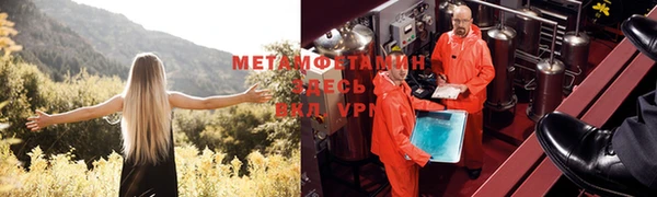 крисы Верхний Тагил