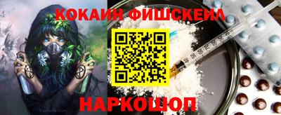 индика Камышлов