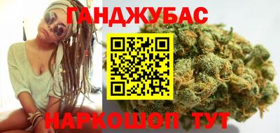 индика Камышлов