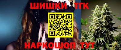 индика Камышлов