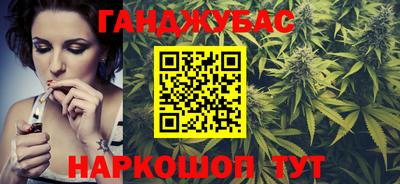 индика Камышлов