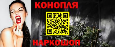 индика Камышлов