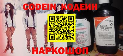 индика Камышлов