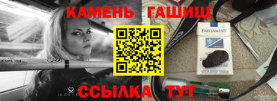 индика Камышлов