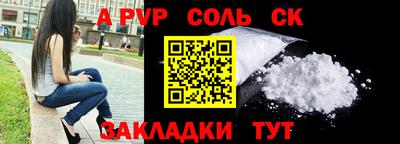 индика Камышлов