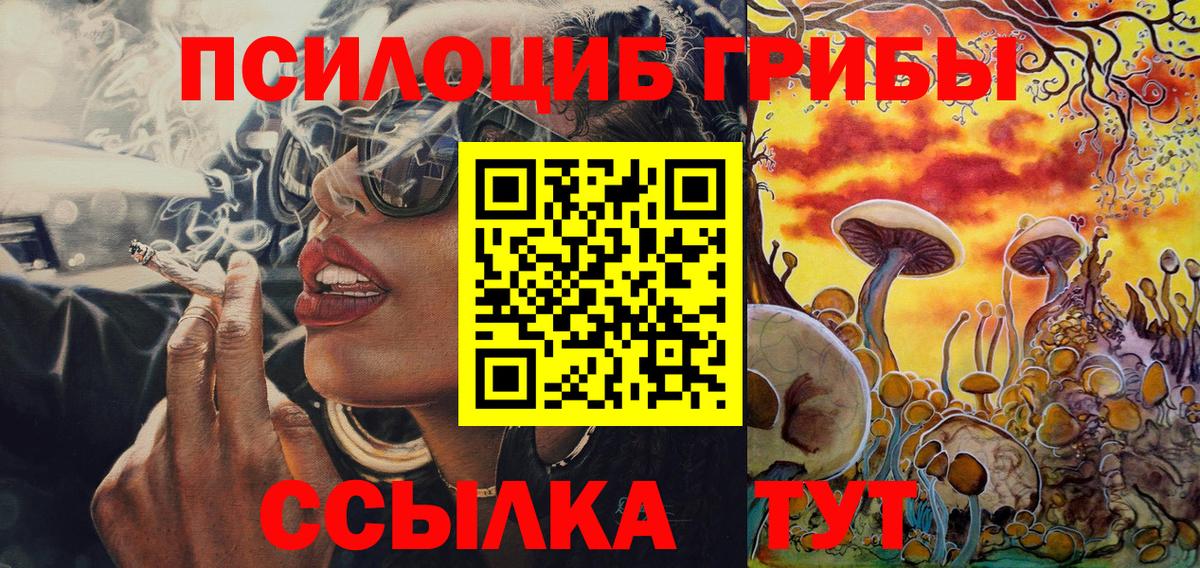 Медногорск  Галлюциногенные грибы Cubensis  где можно купить   Галлюциногенные грибы мицелий  Вход с VPN 
