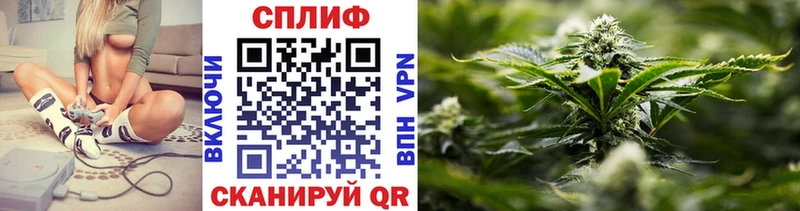 Марихуана семена  ОМГ ОМГ вход  Медногорск 